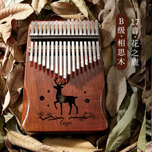 杉贝 SHANBEI 手指琴卡林巴拇指琴初学者卡巴林五指琴姆指钢琴便携式小乐器抖音同款 B级17音相思木【花之鹿】复古咖+全套