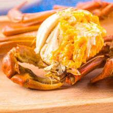 【活蟹】全母大闸蟹鲜活螃蟹活物特大现捕六月黄海鲜水产蟹类 安德兰 全母蟹2.5-2.9两8只