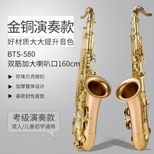 法国布兰琪Blanche 萨克斯初学者 降B调次中音萨克斯风管乐器 成人入门考级专业演奏 BTS-580金铜材质