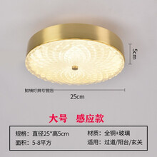 楼梯感应灯入户门玄关灯人体智能自动楼道过道灯起夜轻奢吸顶灯 8816-25cm大号(感应)白光 24瓦白光