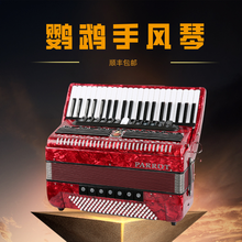 全新手风琴键盘乐器PARROT 60/96/120三四排簧初学演奏定制款 96贝斯37键（红色）
