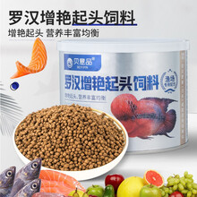 贝意品罗汉鱼饲料寿星头花罗汉增色起头专用鱼粮高蛋白攻头增头小颗粒观赏鱼苗增艳鱼食 罗汉起头饲料500ml（净重250g）