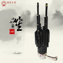 森雀17十七簧扩音笙乌木笙脚牛津布提包吹奏乐器 笙(黑色紫竹+黑色扩音管)