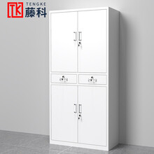 藤科 文件柜办公柜铁皮柜五节柜单节资料档案柜凭证柜矮柜 铁二斗 经济型