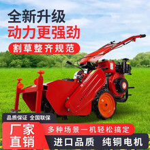 手推式除草机汽油自走式割草机四冲割草果园打草坪修剪机园林剪草大功率锄草机 柴油186(电启动)