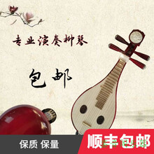 专业演奏考级红木花梨柳琴乐器厂家初学者入门柳琴加配件 初学级红木柳琴