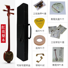 苏州三弦乐器红花梨红木初学者演奏小大三弦ONEVAN 红花梨小三弦+教程书