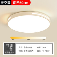 索上（SUOSHANG）led吸顶灯客厅灯具现代简约卧室灯厨房阳台卫生间两室一厅套餐 【圆框】直径60cm-54W三色