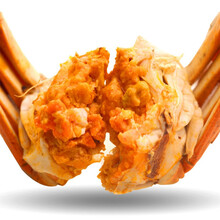 【活蟹】大闸蟹鲜活六月黄公母特大礼盒装 罗菲迪新 大闸蟹(1.2-1.6两)12只