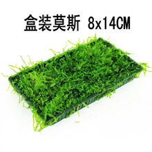 装饰鱼缸造景前景草爬地矮珍珠迷你水草坪淡水阴性水草活体植物 莫斯水草2盒【8*14cm】