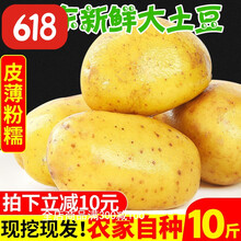 山东新鲜大土豆10斤农家自种蔬菜黄心土豆黄皮马铃薯 5000g