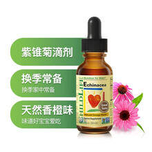 童年时光 美国紫锥菊滴剂 宝宝维生素 儿童VC 30ml 6个月以上 紫锥菊 1