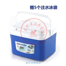 钓鱼冰箱 小型 适用手提钓鱼小冰箱小型保温箱商用摆摊小号装包子馒头的保温箱保冷 5升蓝色+5个冰袋