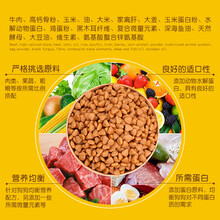 诺里斯西施犬牛肉味天然狗粮2.5kg5斤西施狗幼犬成犬专用狗粮 牛肉味 6个月以上