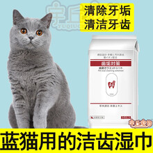 蓝白英短蓝猫洁牙湿巾清洁牙齿除口臭护龈去口臭嘴巴去除牙结石抗菌 一包30枚