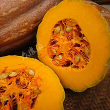 老农夫 新鲜黄南瓜宝宝辅食农家粉糯老南瓜老品种长南瓜 老南瓜4斤左右