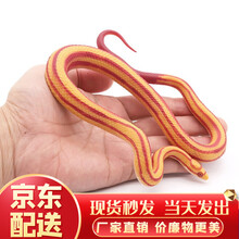 趣驭 仿真大蜘蛛软胶昆虫玩具蛇 蜈蚣 蝎子整蛊吓人玩具万圣节橡胶蜘蛛儿童小玩具六一儿童节礼物 玉米蛇