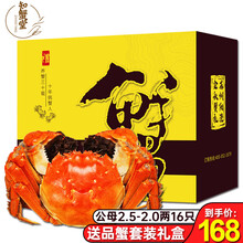 【活蟹】知蟹堂大闸蟹鲜活 螃蟹活物生鲜六月黄河蟹海鲜礼盒装 肥的流油（2.5-2.0两）16只