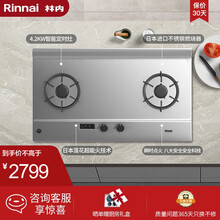 林内（Rinnai）家用嵌入式燃气灶 日本原装进口燃烧器 智能定时灶 超能火系列 2E02LT 天然气