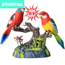 仿真发声会动会叫会说话的八哥电子鹦鹉鸟能学舌录音小鸟儿童玩具创意 学舌说话：513EFR(红色+黄色) 充电版：充电器+3节五号充电电池