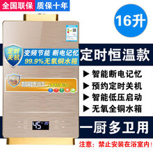 燃气热水器家用恒温洗澡天然气液化气强排式8/10/12/16升【LGDZ】 16升金色 智能恒温定时关机低压启动 罐装液化气(上门安装)