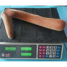 鲜鹿茸整只枝泡酒茶梅花鹿茸头茬二杠东北长白山切连刀鹿茸片煲汤 单支600克-整枝鲜鹿茸图实拍