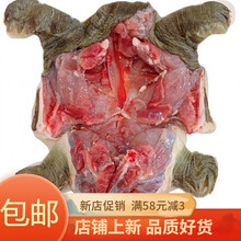 【冷链运输】甲鱼批发现杀现发外塘生态老鳖食用水鱼王八真空包装新鲜去皮去油彼尔安佳 宰杀后净重2.2斤超大甲鱼一只