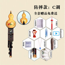 葫芦丝乐器初学c调降b调dgf演奏型小学生儿童天然紫竹 防摔C调+