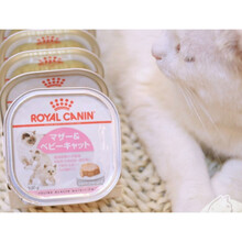 离乳期1-4月幼猫成猫怀孕母猫慕斯奶糕罐头餐盒100g 12罐 6个月以上