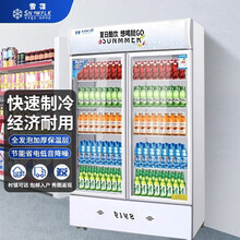 【雪花官方店】雪花商用冰柜冰箱展示柜保鲜柜立式冷藏柜商用冷藏展示柜饮料柜冷柜 双门展示柜（风直冷款）
