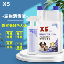 X5宠物消毒液宠物医院同用犬瘟猫瘟细小杀菌消毒除臭家用环境喷雾宠物专用消毒液 升级版500ml