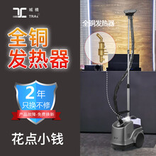 域桥挂烫机家用烫衣服商用服装店蒸汽大功率熨烫机立式大蒸汽2000W 灰色