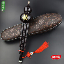 竹林丰 葫芦丝防摔胶木c调降b调防摔葫芦丝初学演奏民族乐器可拆卸 防摔胶木黑色降b调+琴包+全套配件+教学资料