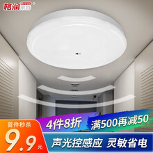格润莱特led声控吸顶灯 10w 正白光 声光红外人体感应灯 走廊楼道阳台车库节能灯具 12W 声光控感应款 Φ22cm