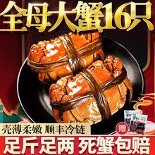 【活蟹】臻佳肴大闸蟹 六月黄全母蟹  鲜活螃蟹现货生鲜河蟹礼盒 全母蟹1.2-1.5两 14只装