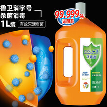 消毒液家用杀菌室内衣物宠物洗衣机用抗静电消毒水1L装 两瓶【1L*2】