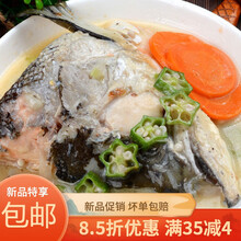三文鱼头冰鲜超大鱼头海鲜水产炖汤煲鱼头汤冷冻鱼头 三文鱼头【1只装*400-500g】
