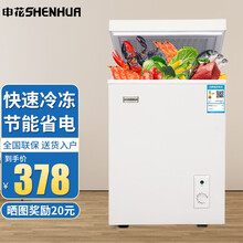 申花（SHENHUA）小冰柜家用小型冷藏冷冻转换迷你小冷柜单温冷冻小冰箱冷藏保鲜一级节能低噪 58升【送货上门 标准款】