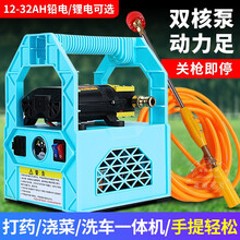 电动喷雾器农用农药喷雾机果树打药机手提喷药机高压打农药的机器充电自动抽水植保打虫机双泵大功率打药泵 无电池无充电器标配+5米高管