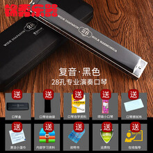 德国进口音簧天鹅28孔口琴复音C调重音初学者男女专业演奏级 C调：黑色专业演奏级28孔复音