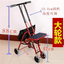 老年购物车老人手推车买菜助行器代步车学步四轮可坐折叠轮椅拐 大轮款