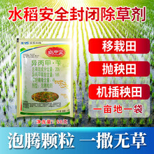 移栽水稻田机插秧抛秧水稻田封闭除草剂泡腾剂水中宝20%异丙草苄 50g