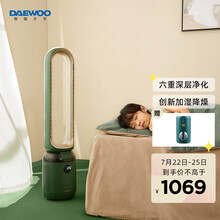 大宇（DAEWOO）六重净化无叶加湿风扇 电风扇 落地扇 塔扇 独立加湿 低噪节能 智能遥控空气净化 AM01 冷萃绿