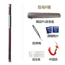 杉贝 SHANBEI 巴乌乐器横吹竖吹小学生成人儿童初学者入门抖音同款 巴乌横吹F调+五大