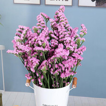 花集配 勿忘我 三色可选 办公室家庭水养鲜切花每月鲜花 可做干花 0.5KG/扎 浅粉色