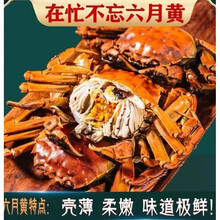 活鲜【冷链运输】大闸蟹鲜活 六月黄螃蟹公母蟹缺重包赔 礼盒装黎麦跃堡 (1.5-2.0两)20只