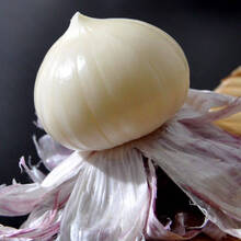 2021年云南新鲜紫皮大蒜独蒜头1 /5斤紫皮独头蒜大批发 2斤装 紫皮独蒜小果(2.2cm)