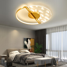 超市	幻色 真羽毛·轻奢led金色羽毛新款简约现代北欧房间灯ins家用创意个性创意卧室灯餐厅灯吸顶灯具 三色智能变光 43cm(适用于8-15平)
