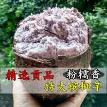 鲜姬  福建特产槟榔芋荔浦芋头新鲜广西正宗香芋5斤10斤现挖小山芋 2.5kg