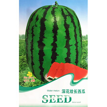 禾花楹水果种子 深花纹长西瓜种子 花皮大果 西瓜種子孑大果型夏瓜椭圆形红壤西瓜种籽含糖13度6粒/包